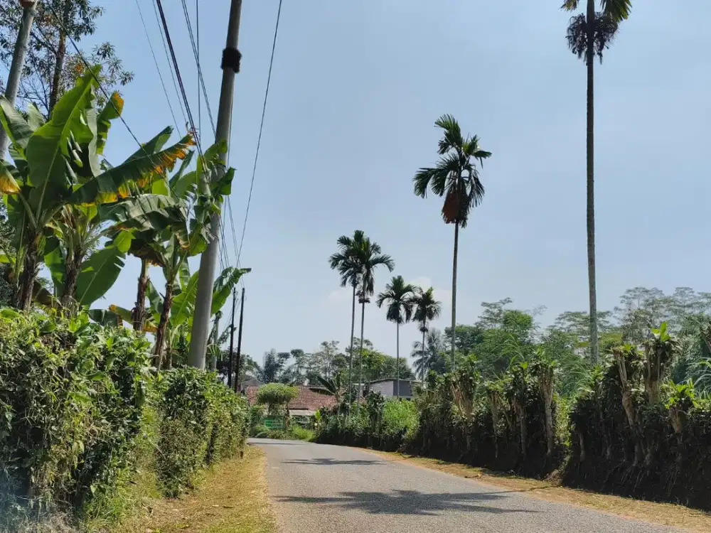Lahan Kebun Datar Strategis Darangdan - Udara Sejuk 650 MDPL, Akses 2 Mobil, 11 menit dari exit tol