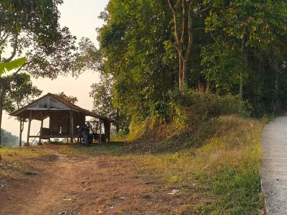 LAHAN KEBUN STRATEGIS 1.600m² DI PURWAKARTA – SANGAT POTENSIAL UNTUK GLAMPING HOUSE & INVESTASI