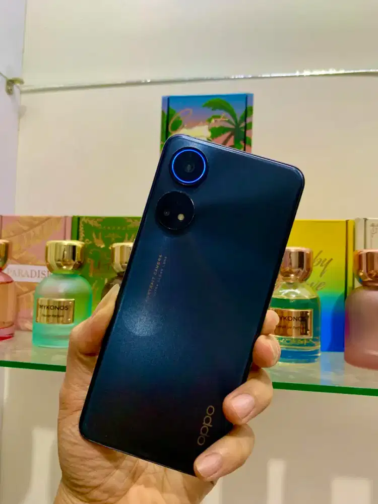 Oppo Reno 8T 4G 8+8/256_Lengkap