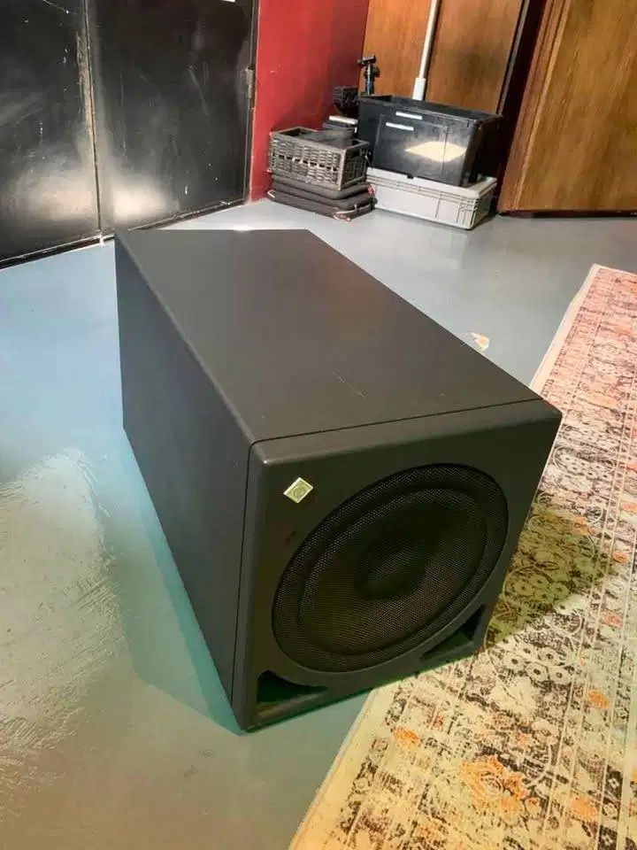 Neumann KH 810 10 Powered Studio Subwoofer (Each)