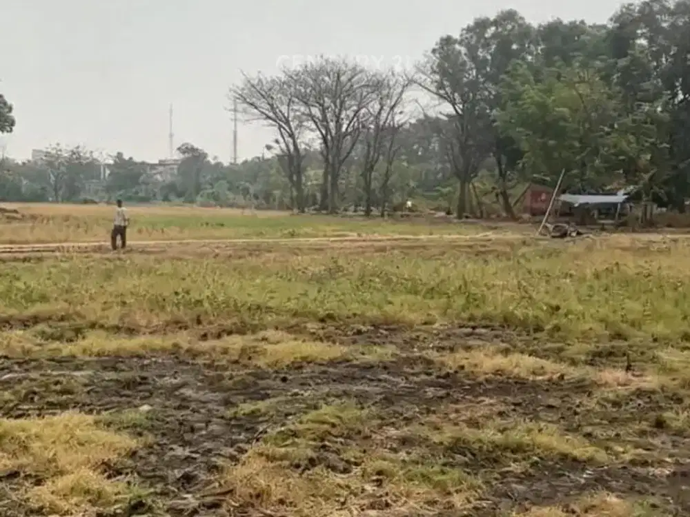 Jual Tanah Bangus Dan Murah Di Ujung Menteng Cakung Jakarta Timur