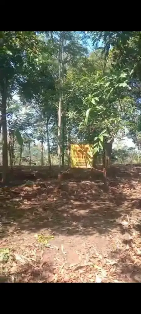 Tanah Kebun 125 bata