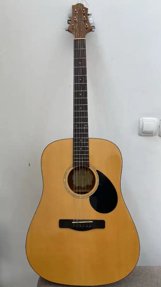 Samick Greg Bennett GD-303/N Fishman