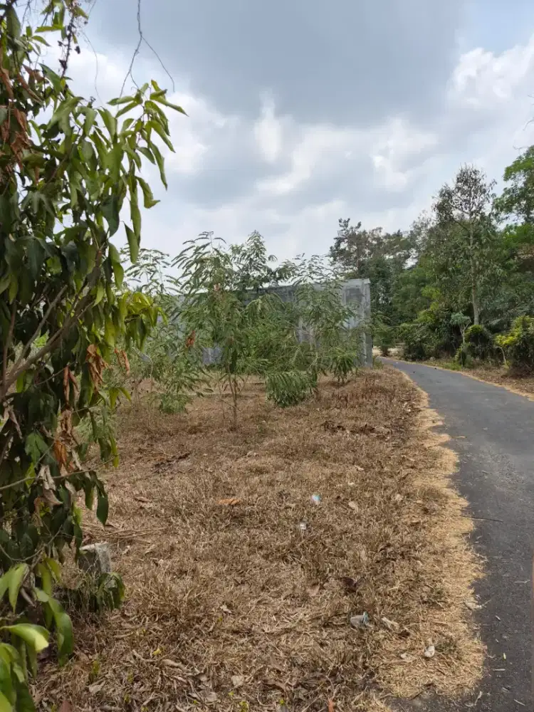 Tanah pekarangan siap pakai