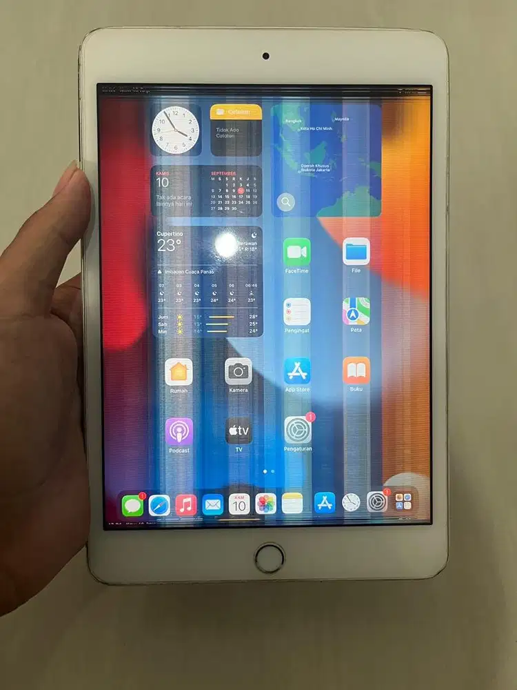 Ipad mini 4 16 gb minus