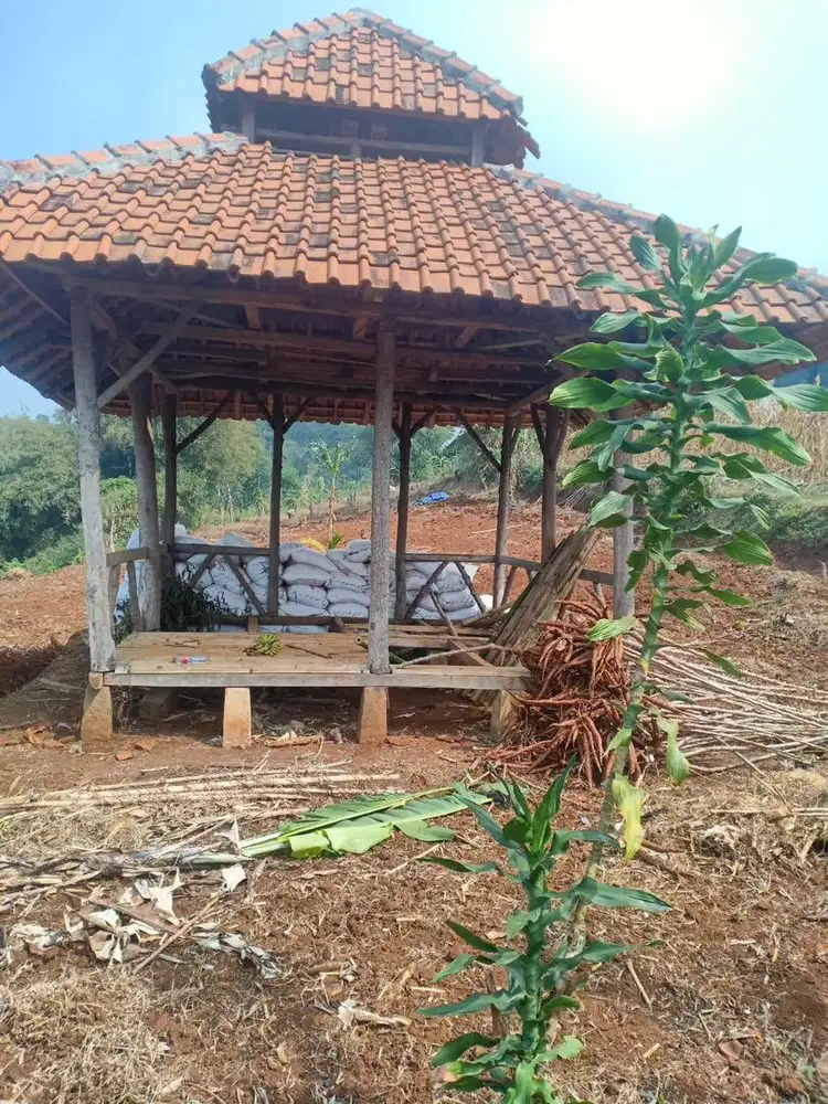 Dijual tanpa perantara Tanah Kebun 1.302.M / 93 Tumbak