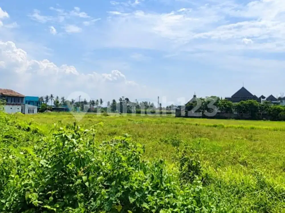 Tanah Pinggir Jalan dan Kawasan Ramai Cilegon, Banten