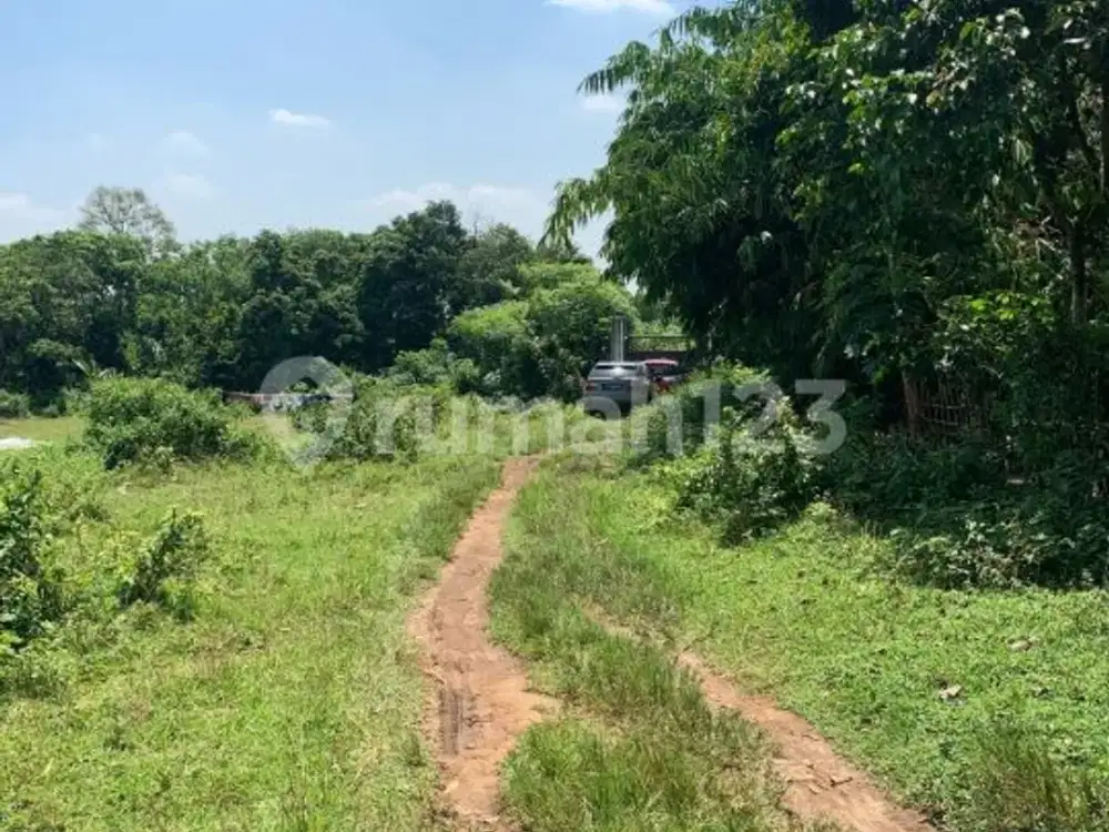 Tanah Lokasi Strategis di Cikeusal, Serang