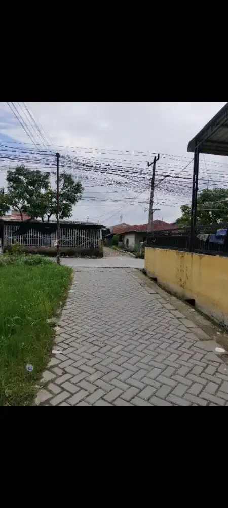 Bismillah, dijual cepat tanah ukuran 6X12