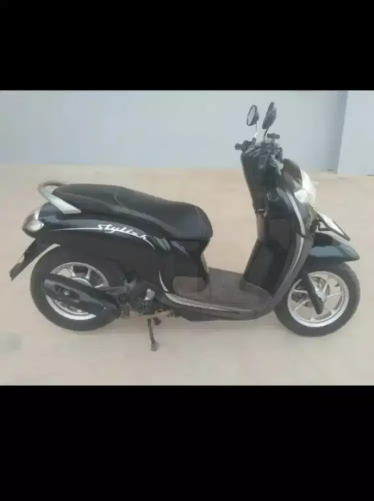 Scupy mulus kesayangan