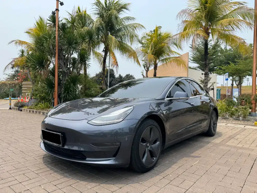Tesla Model 3 Standard Range Plus CASH