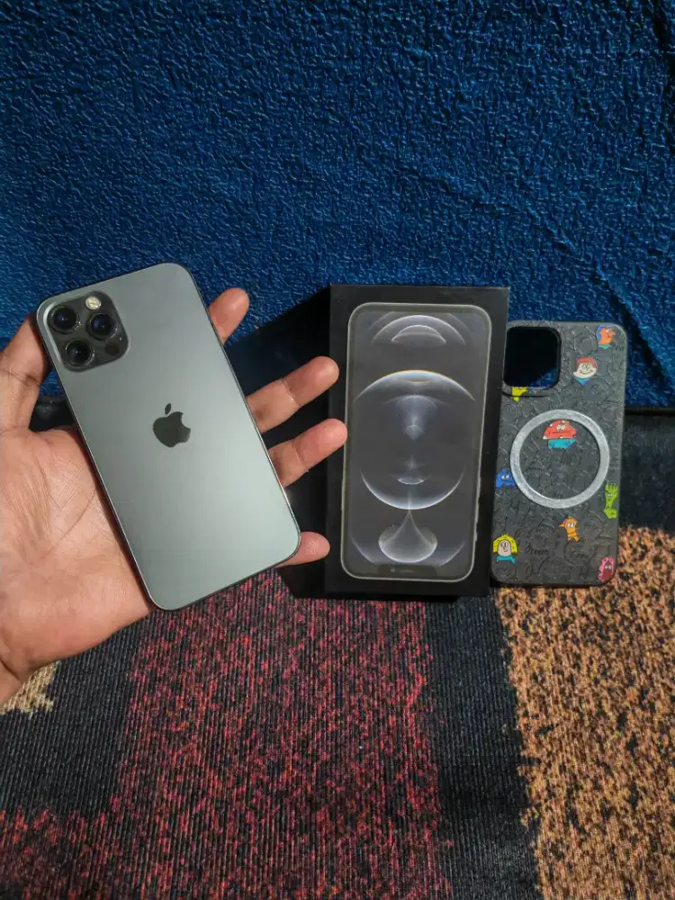 iPhone 12 Pro 128Gb Normal Bisa TT