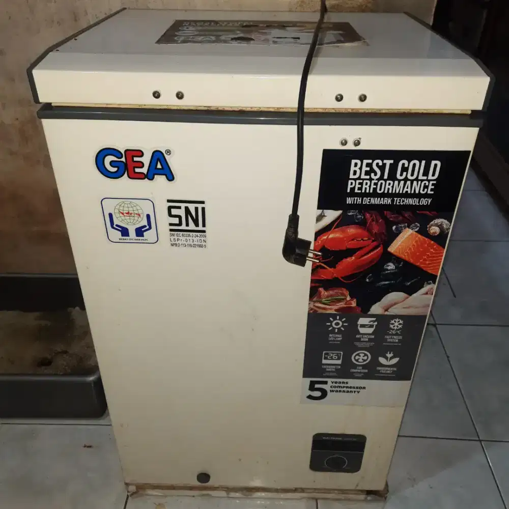 freezer GEA second
