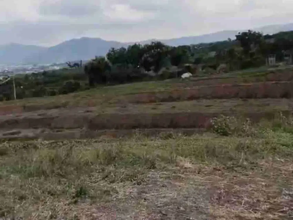 TERMURAH‼ Dijual Tanah Karang Ploso Batu utk dibuat villa / wahana wisata/perumahan