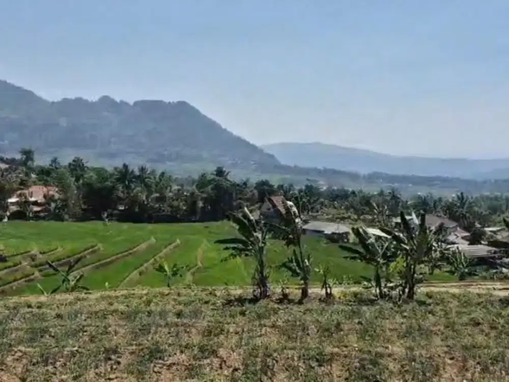 Dijual Lahan Sawah 5000 m2 di Sukamakmur, Bogor