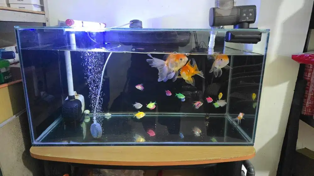 Aquarium di jual cepat