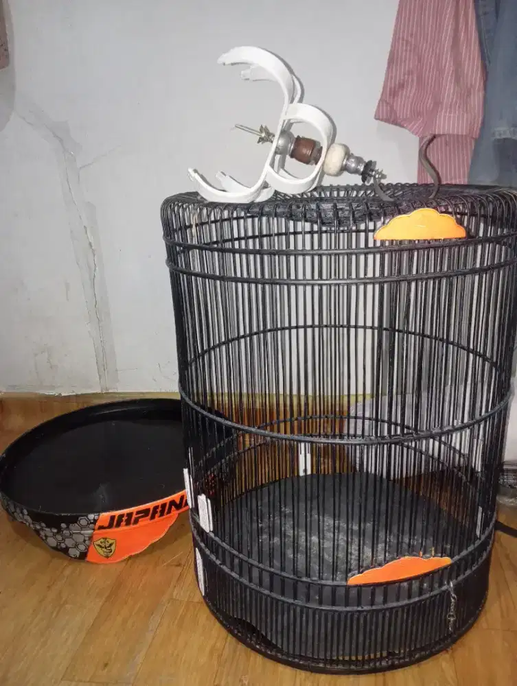 kandang burung murai batu