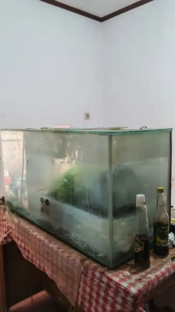 Aquarium full kaca