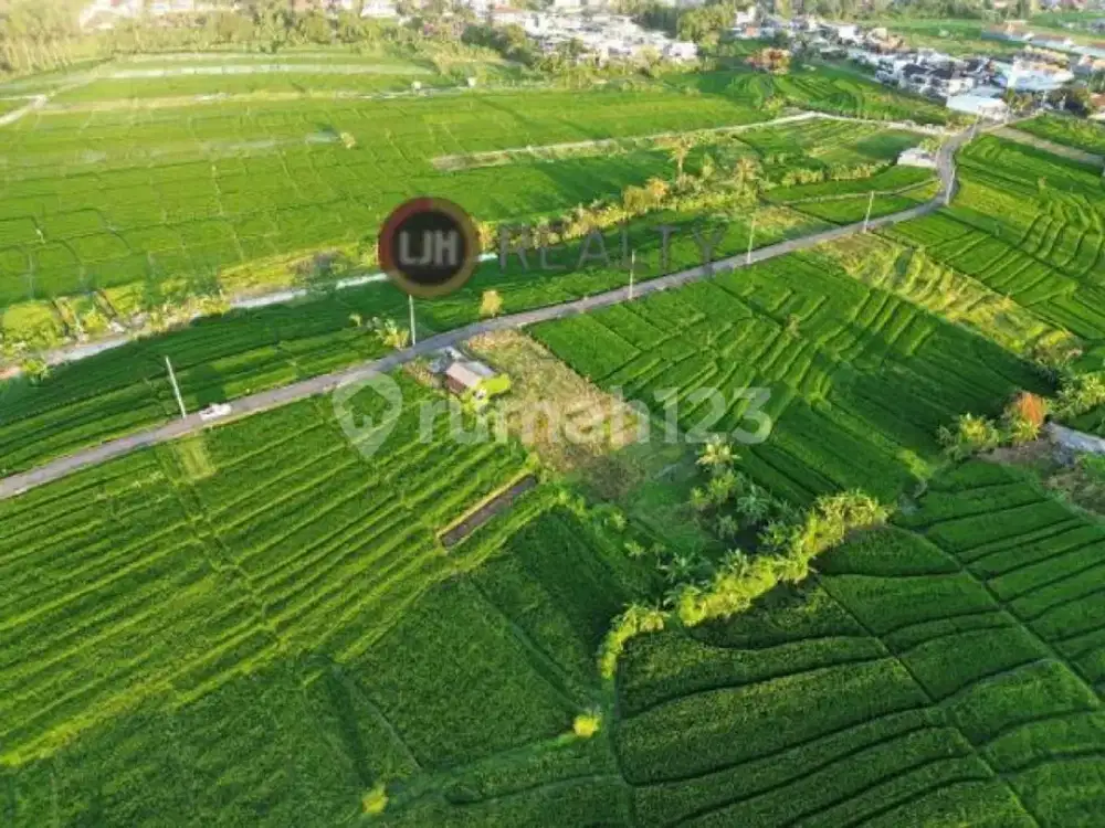Dijual Tanah Munggu Badung Bali Dekat Pantai Munggu