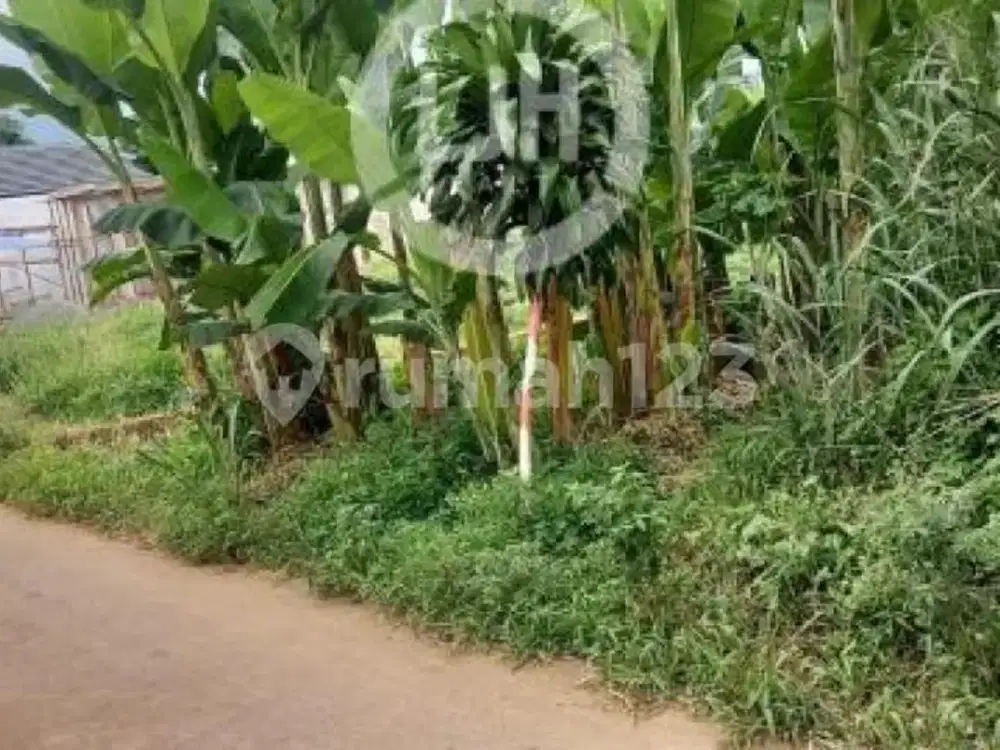 Dijual Tanah di Jalan Katapang Andir, Kemang Bogor