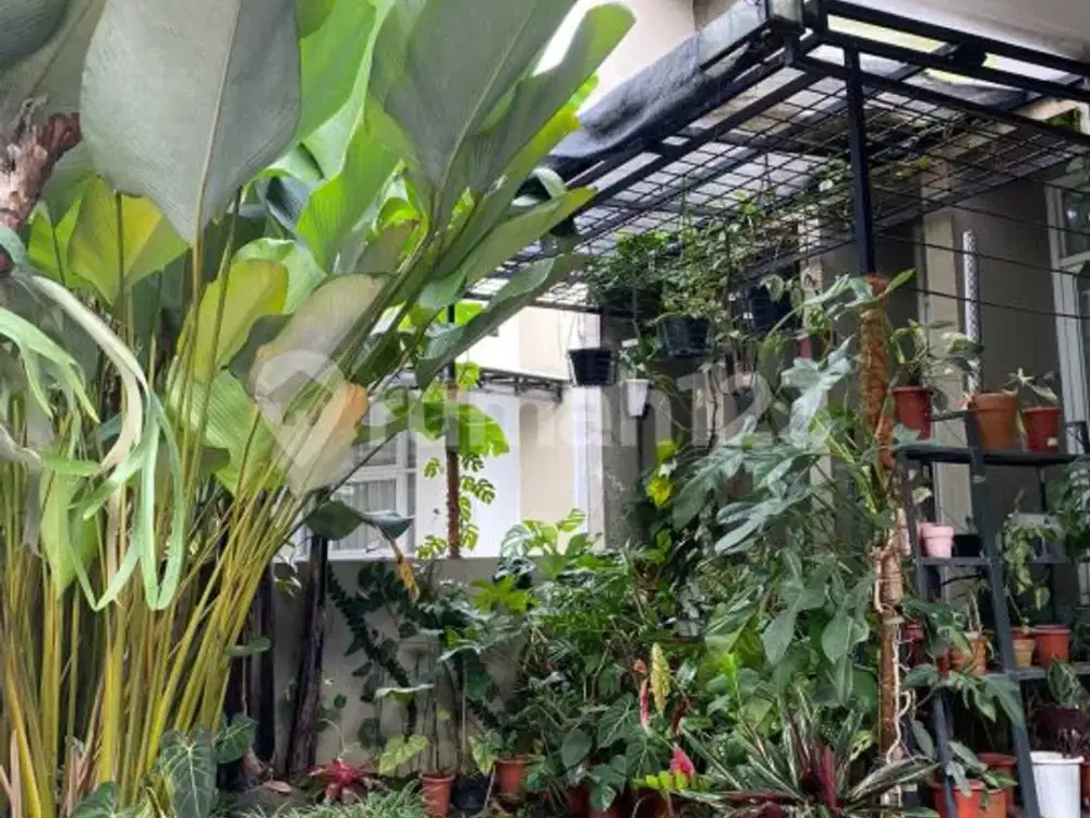 Dijual Cepat Rumah Cendana Residance Samping Kantor Walikota Pamulang
