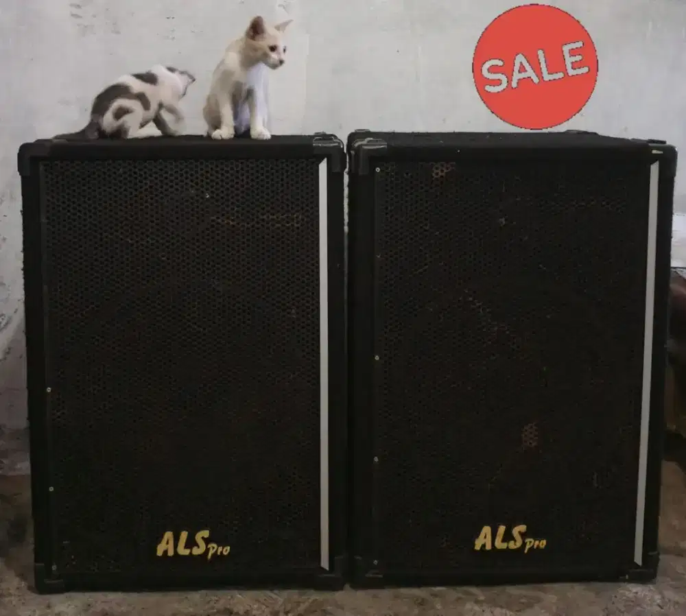 Speaker 15 Inch Pasif 2 Unit Isi Komponen ACR