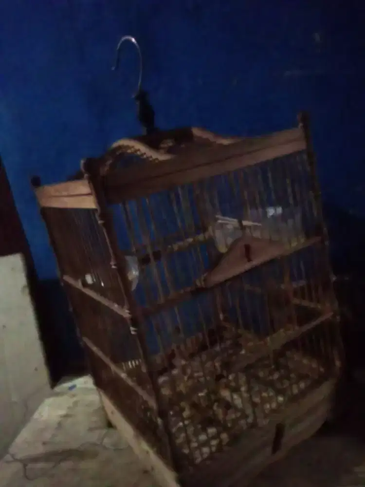 Kandang kotak kayu