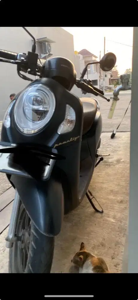 Jual honda scoopy