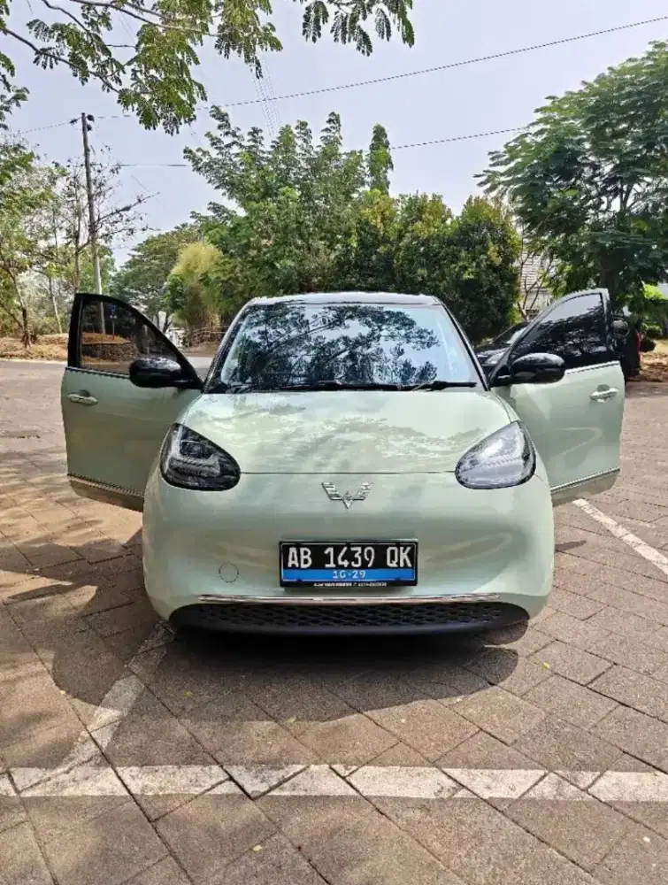 Binguo EV Premium 2024 Range 410KM Type Tertinggi Istimewa