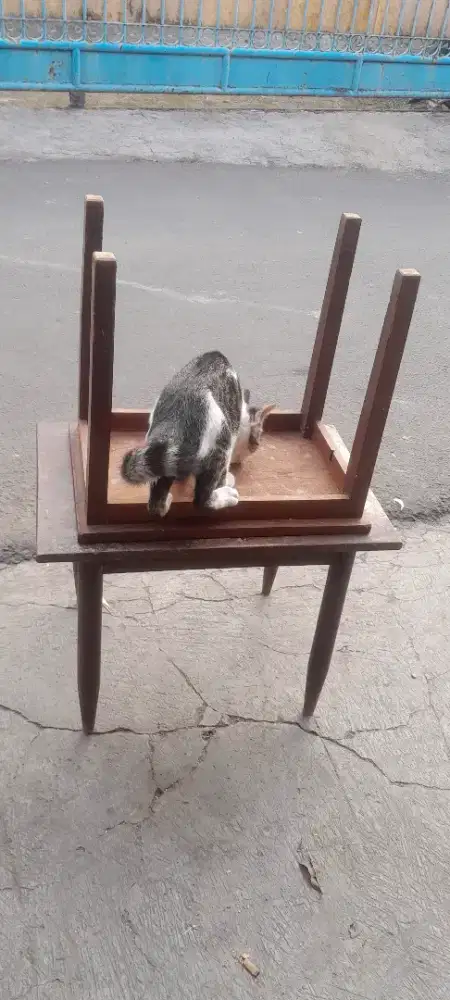 2 meja kayu jati