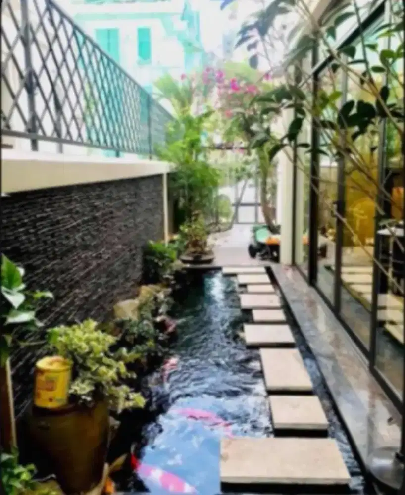 Kolam ikan koi dan filter