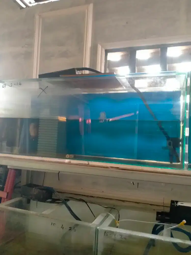 Aquarium pakai stiker