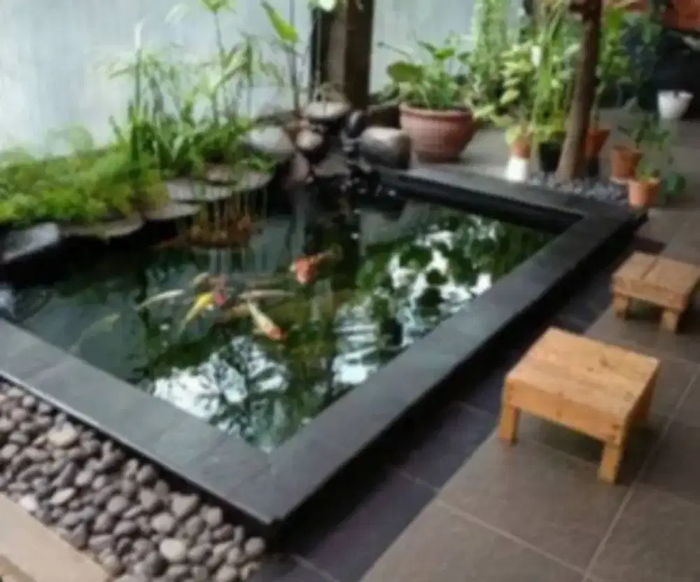 Kolam ikan koi minimalis