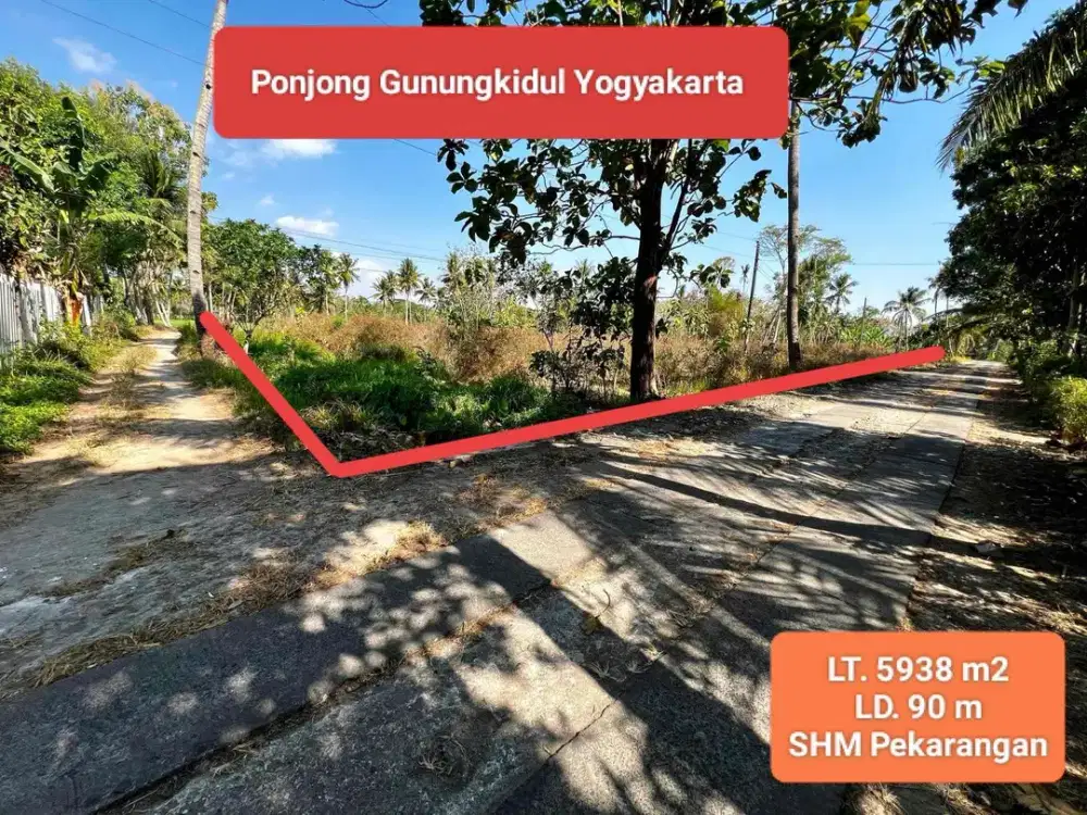 Jual tanah murah pekarangan subur di Ponjong Gunungkidul Yogyakarta Cocok untuk usaha dan investasi 5938 m2