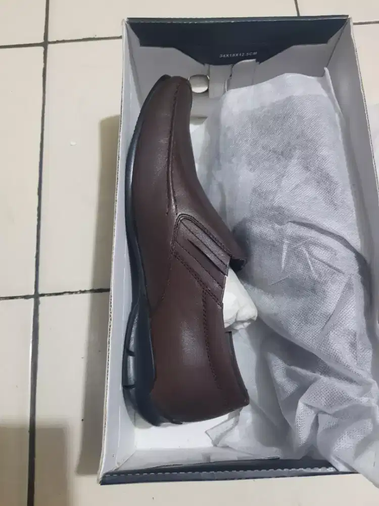 sepatu pierre cardin