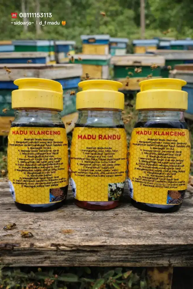 Madu Klanceng dan Randu