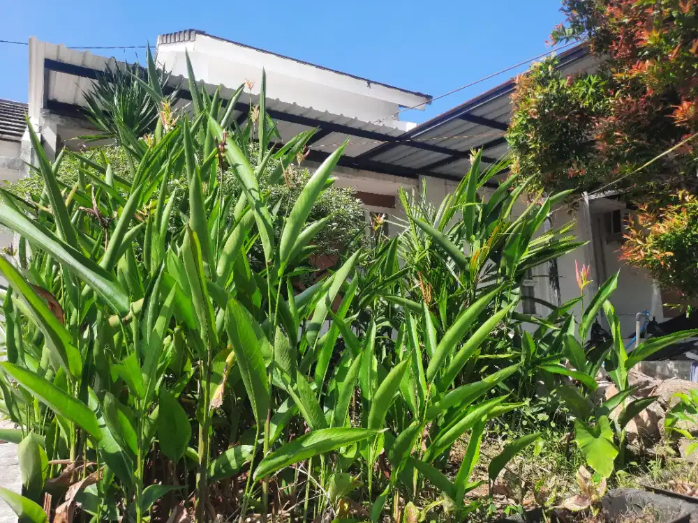 Dijual Rumah Siap Huni FULL RENOVASI di BSB Village Mijen Senarang