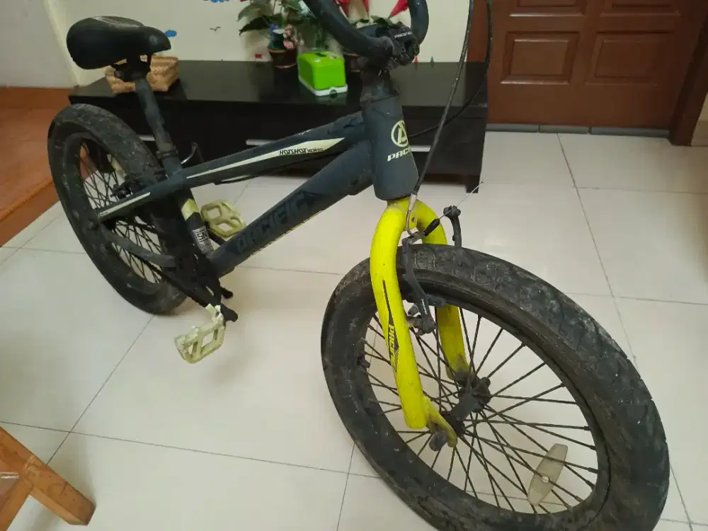 Sepeda Dewasa dan Anak