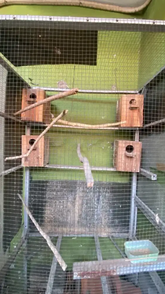 Jual Kandang Burung Aviary Besi Besar + 4 Glodok | Siap Pakai