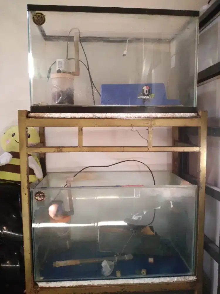 rak besi dan aquarium 60x30 fullset