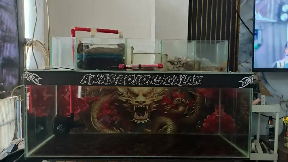 Aquarium 80x40x30 fulset tinggal colok