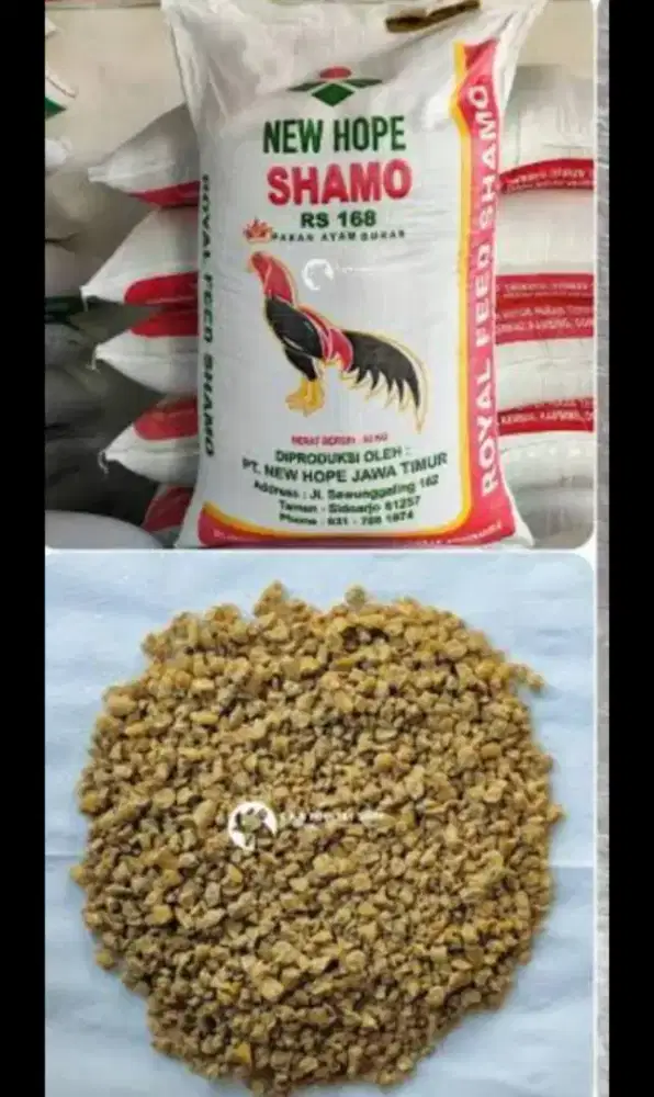 New hope shamo pakan ayam bermutu