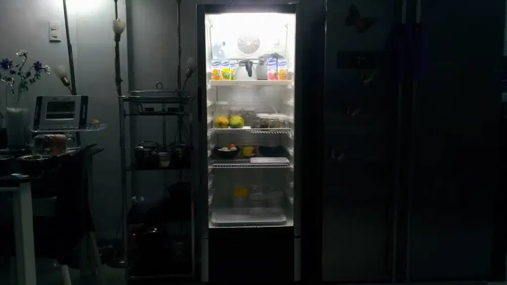 Kulkas Showcase Minuman Polytron