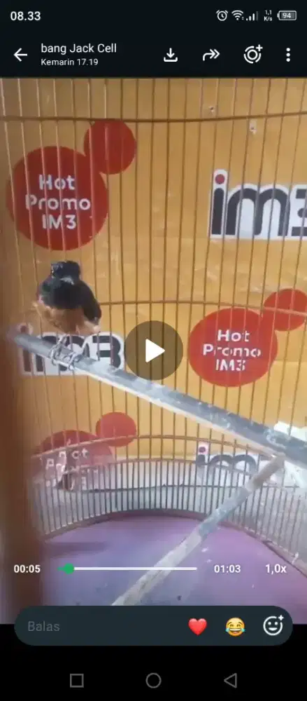 murai prospek x prestasi