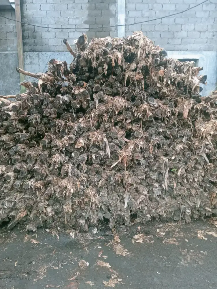 Kayu Gelam jual berbagai ukuran