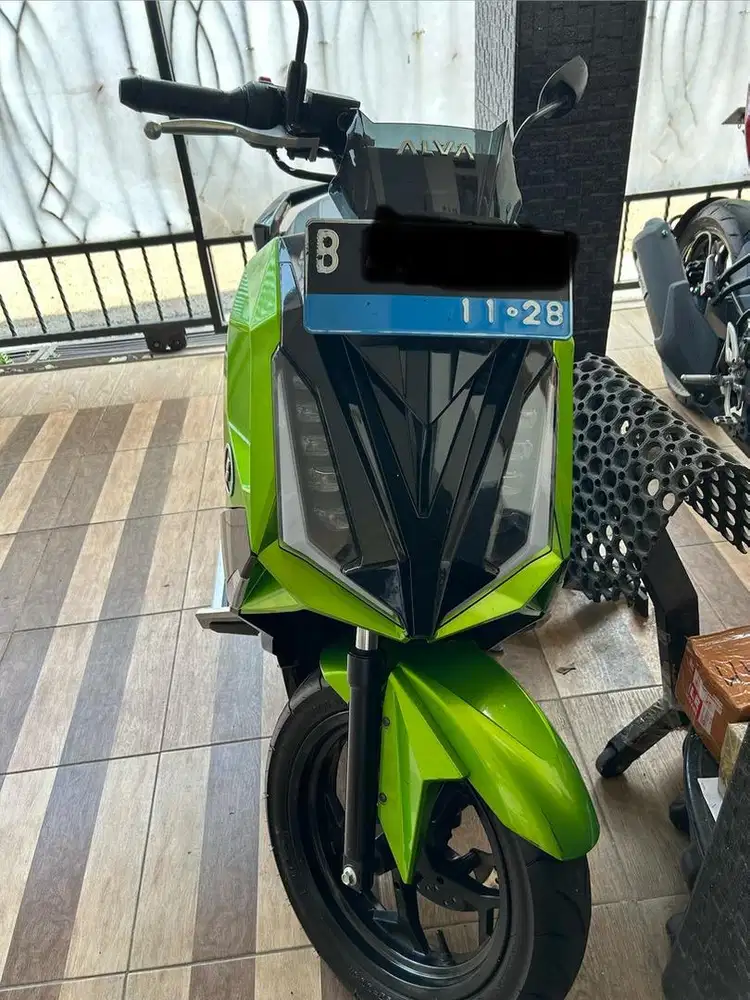 Alva cervo 2023