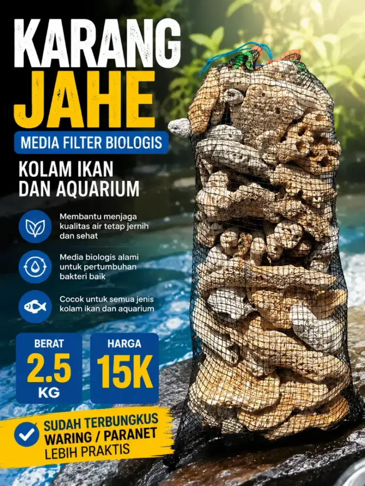 Karang jahe Media filter kolam ikan koi 2.5kg terbungkus Waring