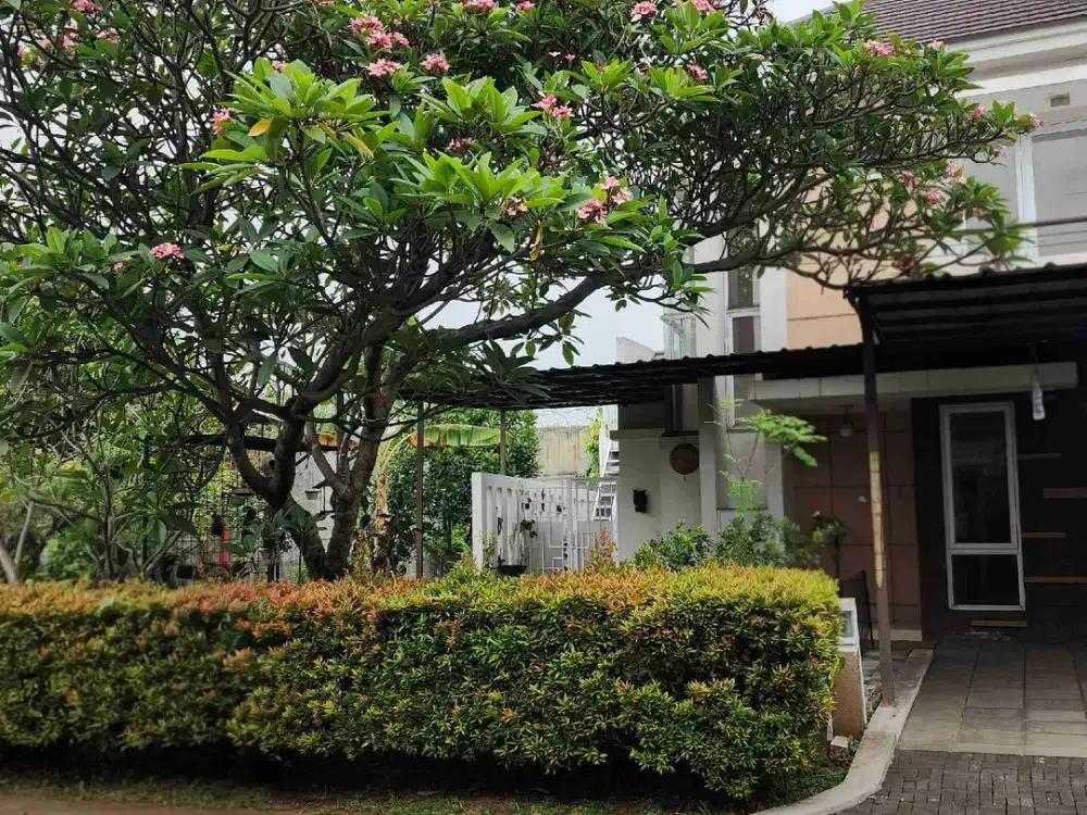 Rumah Cantik Asri Samping Taman Dapur Luas
