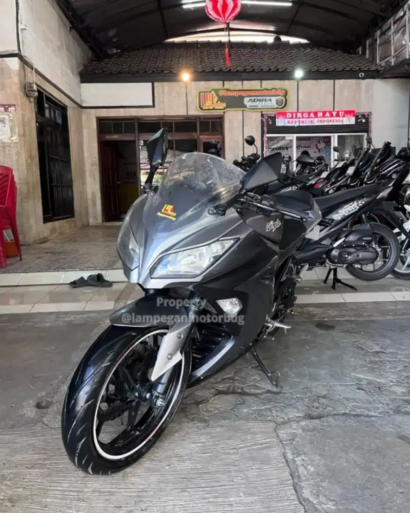 Kawasaki Ninja 250 fi 2013
