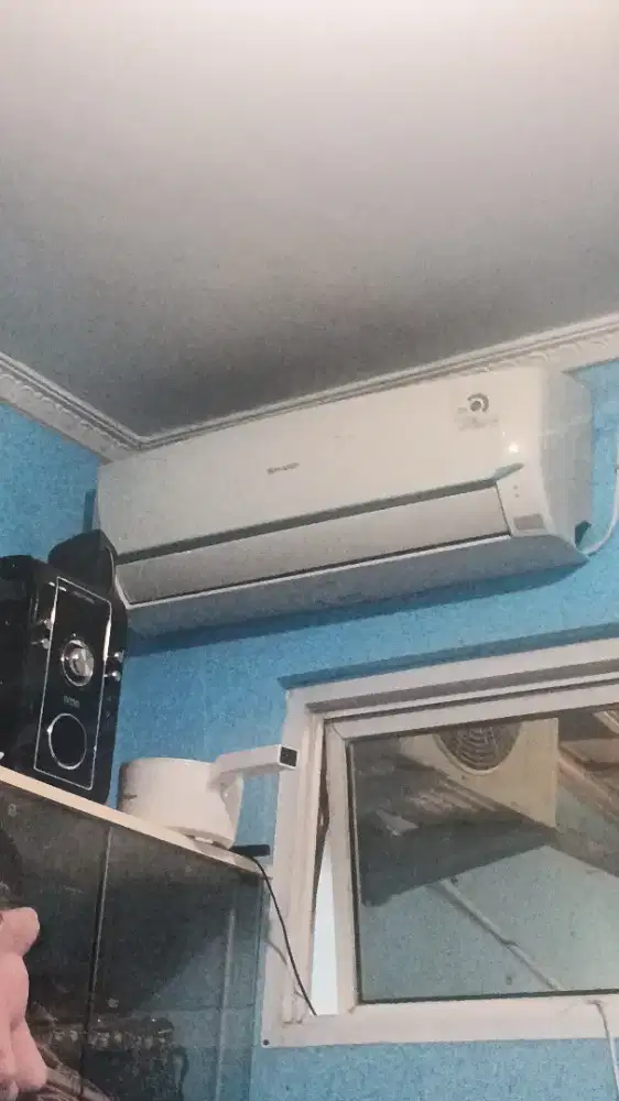 AC Sharp 3/4 PK
